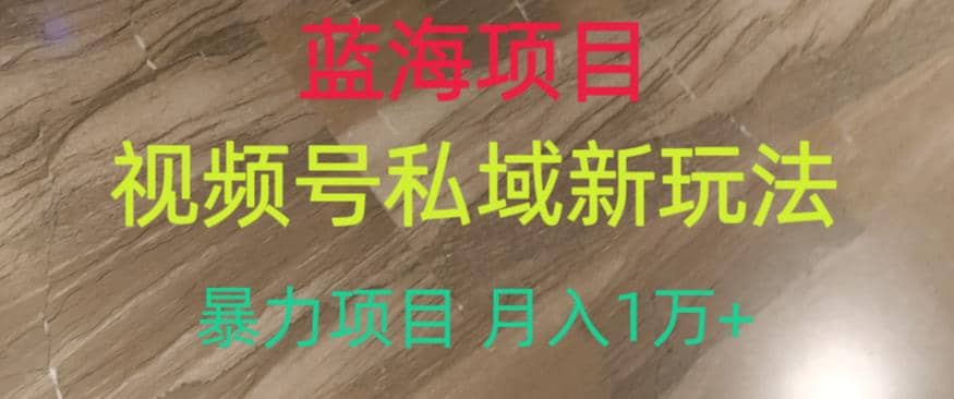 蓝海项目，视频号私域新玩法，暴力项目月入1万+【揭秘】创业之家-网创项目资源站-副业项目-创业项目-搞钱项目创业之家