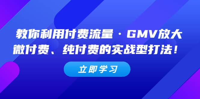 教你利用付费流量·GMV放大，微付费、纯付费的实战型打法创业之家-网创项目资源站-副业项目-创业项目-搞钱项目创业之家