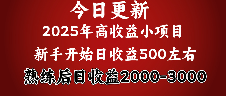 2025开年好项目，新手日收益500+ 熟练掌握后，日收益平均2000多创业之家-网创项目资源站-副业项目-创业项目-搞钱项目创业之家