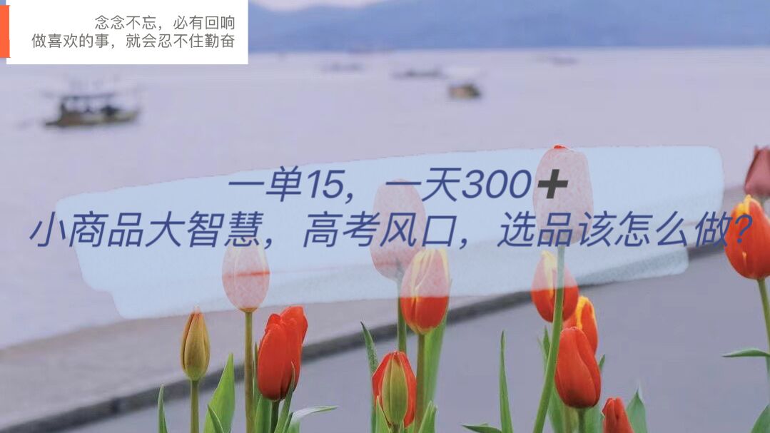 一单15，一天300+，小商品大智慧，高考风口，选品该怎么布局创业之家-网创项目资源站-副业项目-创业项目-搞钱项目创业之家