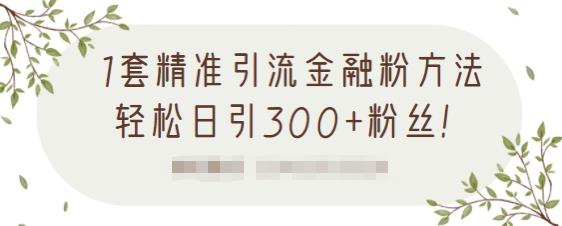 1套精准引流金融粉方法，轻松日引300+粉丝【视频课程】创业之家-网创项目资源站-副业项目-创业项目-搞钱项目创业之家