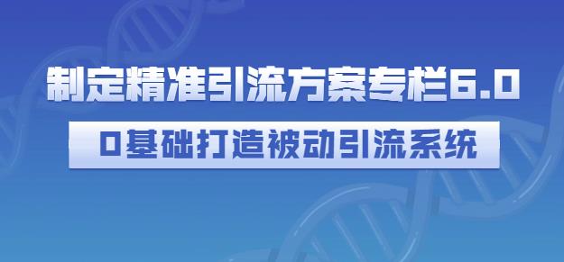 制定精准引流方案专栏6.0，0基础打造被动引流系统创业之家-网创项目资源站-副业项目-创业项目-搞钱项目创业之家