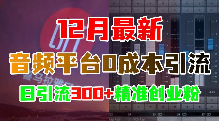 12月最新：音频平台0成本引流，日引300+精准创业粉创业之家-网创项目资源站-副业项目-创业项目-搞钱项目创业之家