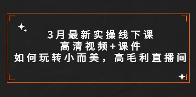 3月最新实操线下课高清视频+课件，如何玩转小而美，高毛利直播间创业之家-网创项目资源站-副业项目-创业项目-搞钱项目创业之家