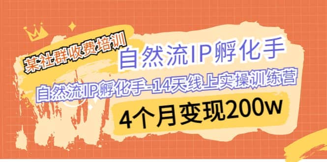 某社群收费培训：自然流IP 孵化手-14天线上实操训练营 4个月变现200w创业之家-网创项目资源站-副业项目-创业项目-搞钱项目创业之家