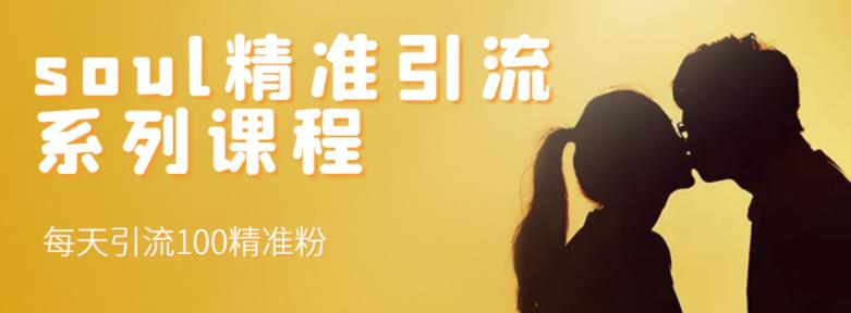 soul精准引流系列课程，每天引流100精准粉创业之家-网创项目资源站-副业项目-创业项目-搞钱项目创业之家