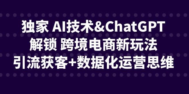 独家 AI技术ChatGPT解锁 跨境电商新玩法，引流获客+数据化运营思维创业之家-网创项目资源站-副业项目-创业项目-搞钱项目创业之家