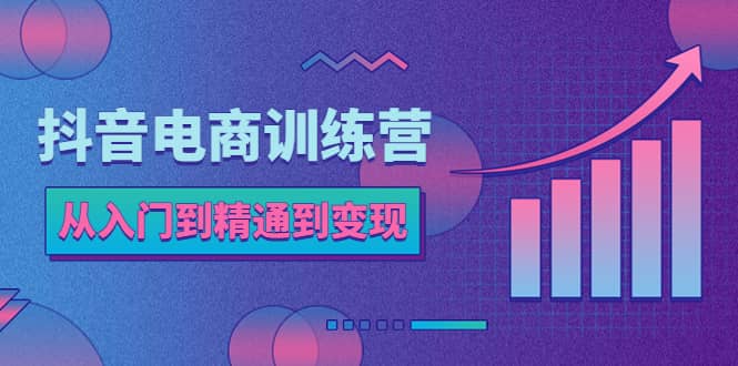 抖音电商训练营：从入门到精通，从账号定位到流量变现，抖店运营实操创业之家-网创项目资源站-副业项目-创业项目-搞钱项目创业之家