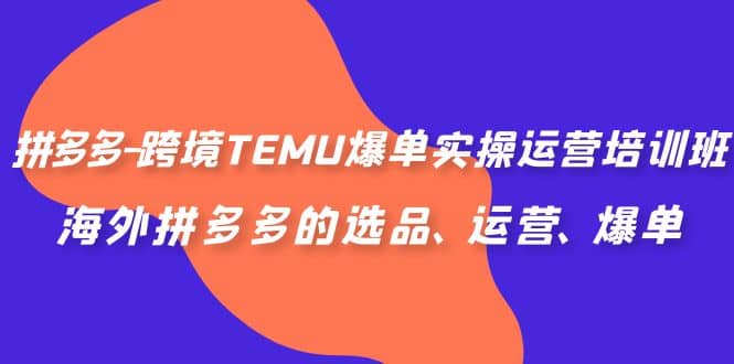 拼多多-跨境TEMU爆单实操运营培训班，海外拼多多的选品、运营、爆单创业之家-网创项目资源站-副业项目-创业项目-搞钱项目创业之家