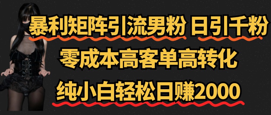 暴利矩阵引流男粉（日引千粉），零成本高客单高转化，纯小白轻松日赚2000+创业之家-网创项目资源站-副业项目-创业项目-搞钱项目创业之家