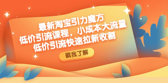 最新淘宝引力魔方低价引流实操：小成本大流量创业之家-网创项目资源站-副业项目-创业项目-搞钱项目创业之家