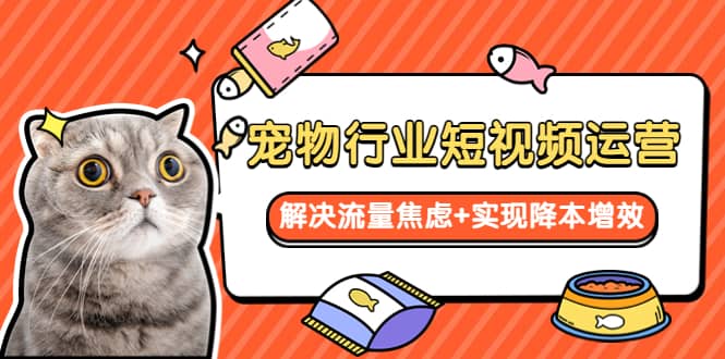 宠物/行业短视频运营 流量增长的一层窗户纸 解决流量焦虑+实现降本增效创业之家-网创项目资源站-副业项目-创业项目-搞钱项目创业之家