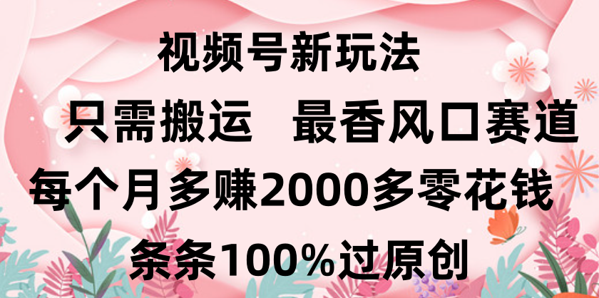 日入2000+，条条100%过原创，视频号最香风口赛道，小白轻松上手创业之家-网创项目资源站-副业项目-创业项目-搞钱项目创业之家