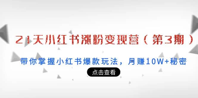 21天小红书涨粉变现营（第3期）：带你掌握小红书爆款玩法，月赚10W+秘密创业之家-网创项目资源站-副业项目-创业项目-搞钱项目创业之家
