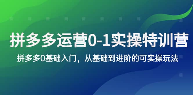 拼多多-运营0-1实操训练营，拼多多0基础入门，从基础到进阶的可实操玩法创业之家-网创项目资源站-副业项目-创业项目-搞钱项目创业之家