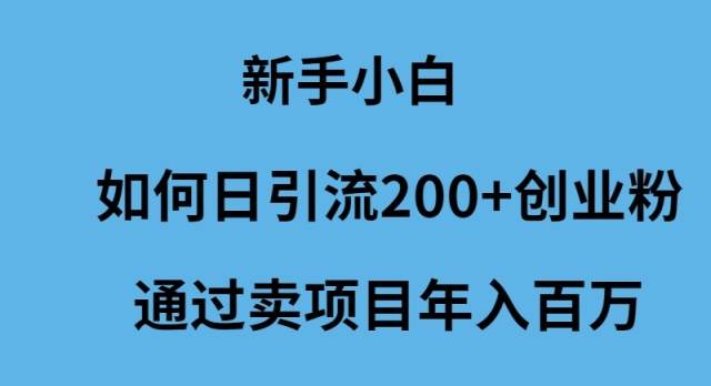 新手小白如何日引流200+创业粉通过卖项目年入百万创业之家-网创项目资源站-副业项目-创业项目-搞钱项目创业之家