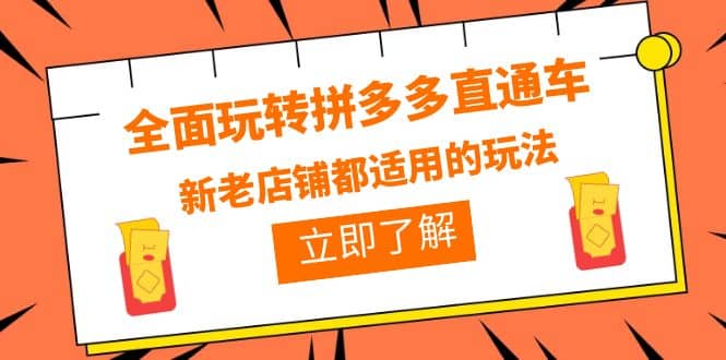 全面玩转拼多多直通车，新老店铺都适用的玩法（12节精华课）创业之家-网创项目资源站-副业项目-创业项目-搞钱项目创业之家