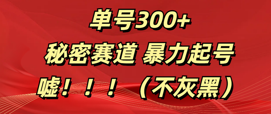 单号300+  秘密赛道 暴力起号  （不灰黑）创业之家-网创项目资源站-副业项目-创业项目-搞钱项目创业之家