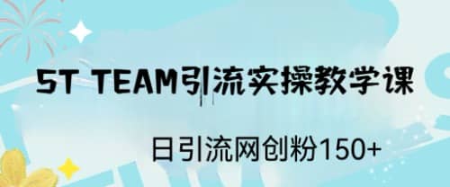 ST TEAM引流实操课，日引流网创粉100+创业之家-网创项目资源站-副业项目-创业项目-搞钱项目创业之家