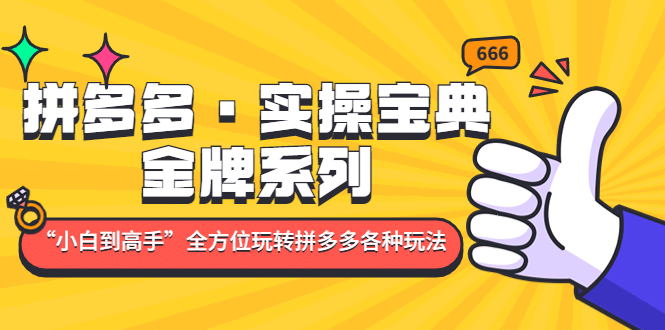 拼多多·实操宝典：金牌系列“小白到高手”带你全方位玩转拼多多各种玩法创业之家-网创项目资源站-副业项目-创业项目-搞钱项目创业之家