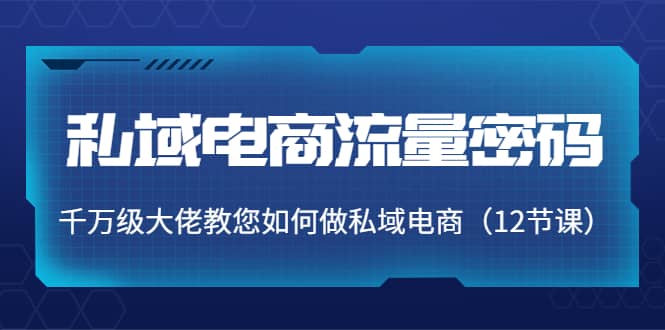 私域电商流量密码：千万级大佬教您如何做私域电商（12节课）创业之家-网创项目资源站-副业项目-创业项目-搞钱项目创业之家