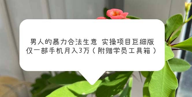 男人的暴力合法生意实操项目巨细版：仅一部手机月入3w（附赠学员工具箱）创业之家-网创项目资源站-副业项目-创业项目-搞钱项目创业之家