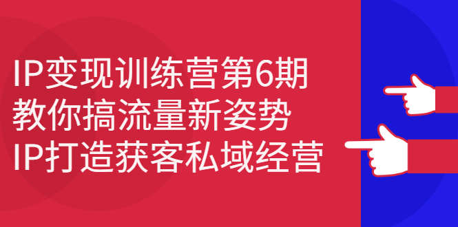 IP变现训练营第6期：教你搞流量新姿势，IP打造获客私域经营创业之家-网创项目资源站-副业项目-创业项目-搞钱项目创业之家