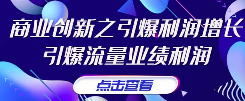 《商业创新之引爆利润增长》引爆流量业绩利润创业之家-网创项目资源站-副业项目-创业项目-搞钱项目创业之家