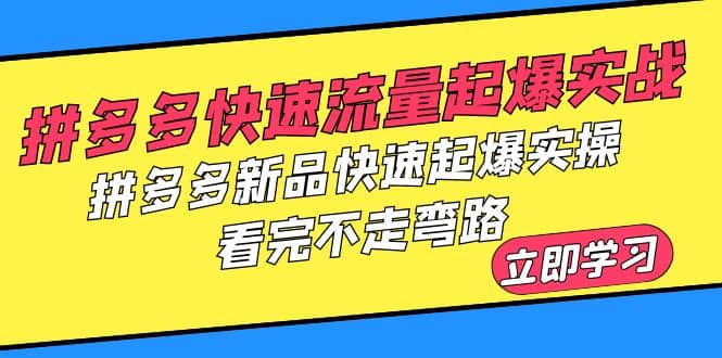 拼多多-快速流量起爆实战，拼多多新品快速起爆实操，看完不走弯路创业之家-网创项目资源站-副业项目-创业项目-搞钱项目创业之家