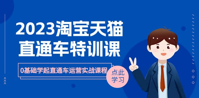2023淘宝·天猫直通车评特训课，0基础学起直通车运营实战课程（8节课时）创业之家-网创项目资源站-副业项目-创业项目-搞钱项目创业之家