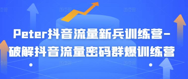 Peter抖音流量新兵训练营-破解抖音流量密码群爆训练营（新兵）创业之家-网创项目资源站-副业项目-创业项目-搞钱项目创业之家