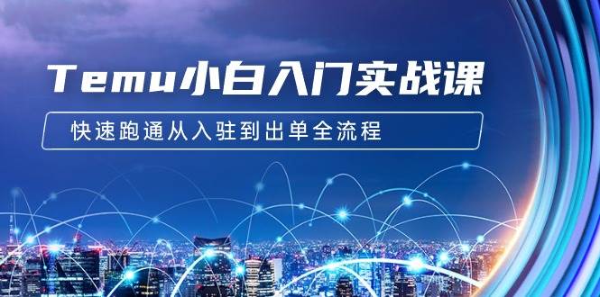 Temu小白入门实战课：跨境拼多多电商培训 快速跑通从入驻到出单全流程-12节创业之家-网创项目资源站-副业项目-创业项目-搞钱项目创业之家