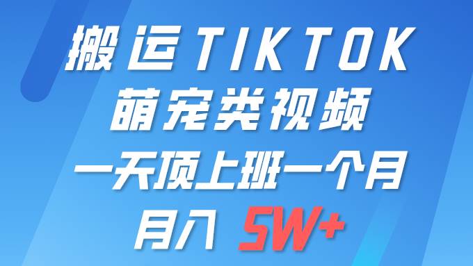 一键搬运TIKTOK萌宠类视频 一部手机即可操作 所有平台均可发布 轻松月入5W+创业之家-网创项目资源站-副业项目-创业项目-搞钱项目创业之家