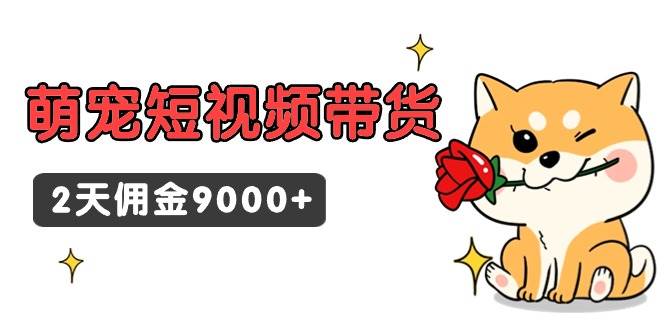 东哲日记·萌宠短视频带货，2天佣金9000+创业之家-网创项目资源站-副业项目-创业项目-搞钱项目创业之家