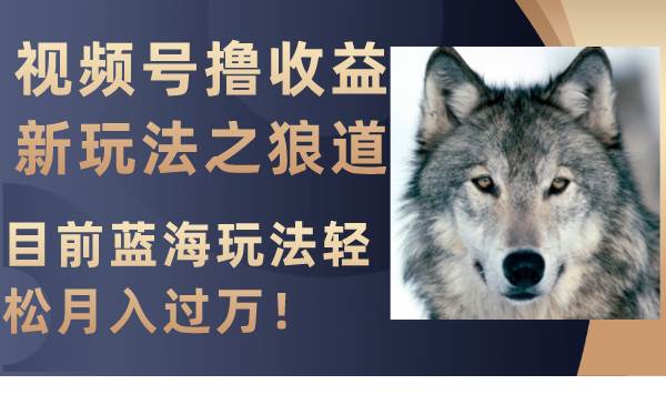 视频号撸收益新玩法之狼道，目前蓝海玩法轻松月入过万！创业之家-网创项目资源站-副业项目-创业项目-搞钱项目创业之家