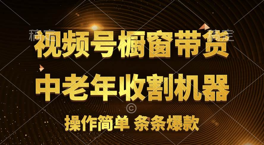 [你的孩子成功取得高位]视频号最火爆赛道，橱窗带货，流量分成计划，条…创业之家-网创项目资源站-副业项目-创业项目-搞钱项目创业之家