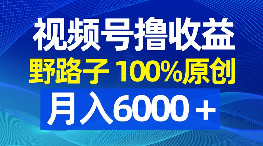 视频号野路子撸收益，100%原创，条条爆款，月入6000＋创业之家-网创项目资源站-副业项目-创业项目-搞钱项目创业之家