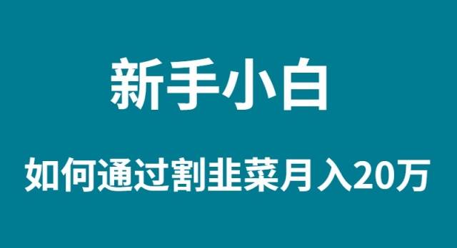 新手小白如何通过割韭菜月入 20W创业之家-网创项目资源站-副业项目-创业项目-搞钱项目创业之家
