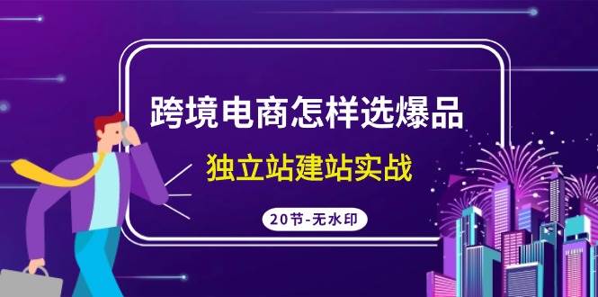 跨境电商怎样选爆品，独立站建站实战（20节高清无水印课）创业之家-网创项目资源站-副业项目-创业项目-搞钱项目创业之家