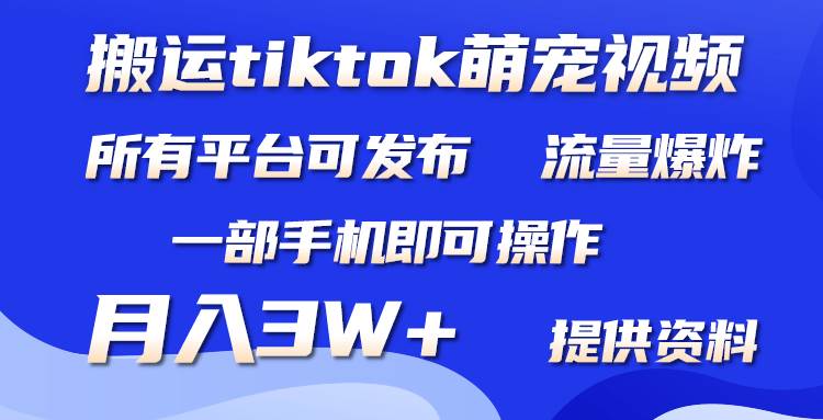 搬运Tiktok萌宠类视频，一部手机即可。所有短视频平台均可操作，月入3W+创业之家-网创项目资源站-副业项目-创业项目-搞钱项目创业之家