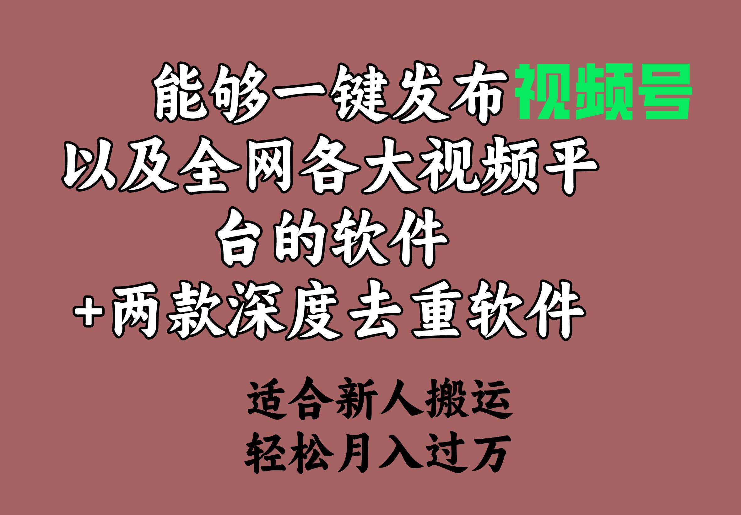 能够一键发布视频号以及全网各大视频平台的软件+两款深度去重软件 适合…创业之家-网创项目资源站-副业项目-创业项目-搞钱项目创业之家