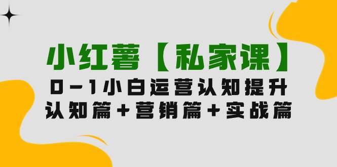 小红薯【私家课】0-1玩赚小红书内容营销，认知篇+营销篇+实战篇（11节课）创业之家-网创项目资源站-副业项目-创业项目-搞钱项目创业之家