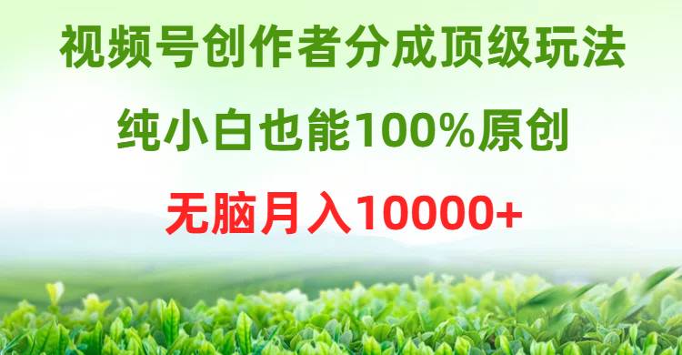 视频号创作者分成顶级玩法，纯小白也能100%原创，无脑月入10000+创业之家-网创项目资源站-副业项目-创业项目-搞钱项目创业之家