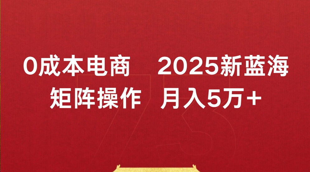 0成本电商2025新蓝海矩阵操作 月入5万+创业之家-网创项目资源站-副业项目-创业项目-搞钱项目创业之家