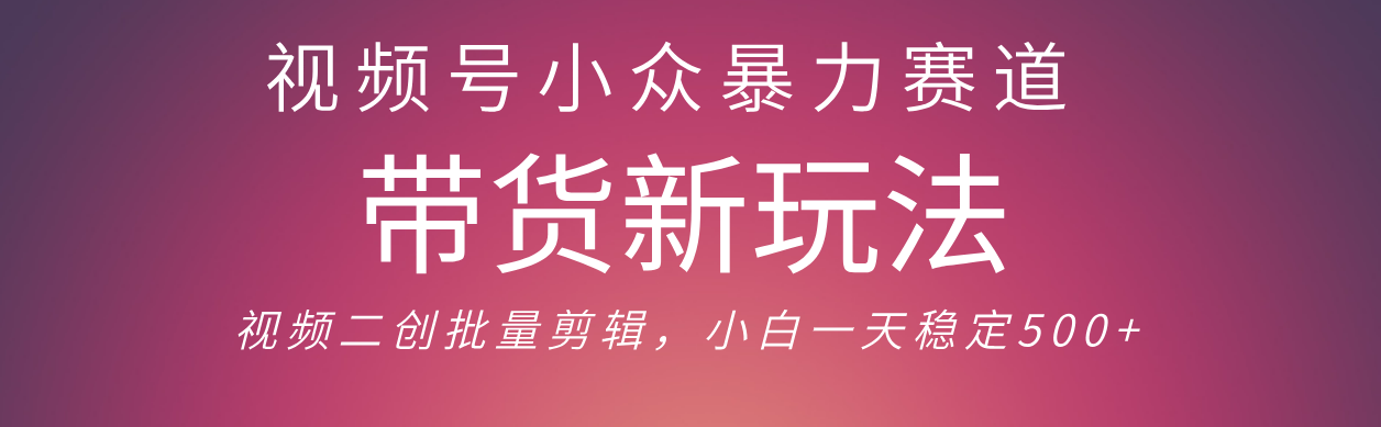 视频号小众暴力赛道，最新带货玩法 小白也能轻松日入500+ 保姆及教程创业之家-网创项目资源站-副业项目-创业项目-搞钱项目创业之家