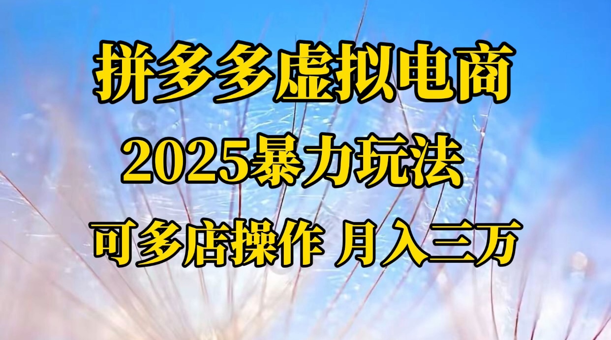 拼多多虚拟电商，不囤货不垫资的虚拟电商创业之家-网创项目资源站-副业项目-创业项目-搞钱项目创业之家